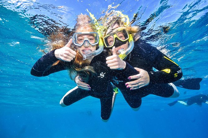 Tusa Reef Tours All Inclusive Great Barrier Reef Tour From Cairns - Exploring the Reef