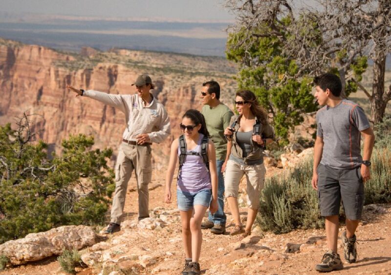 Tusayan: Grand Canyon Desert View & South Rim Pink Jeep Tour - Experience Highlights
