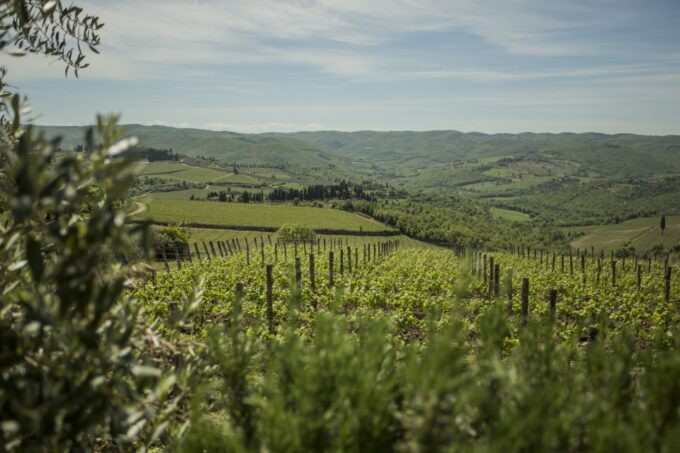 Tuscan Cooking Experience With Wine Tasting in Panzano in C. - Frequently Asked Questions