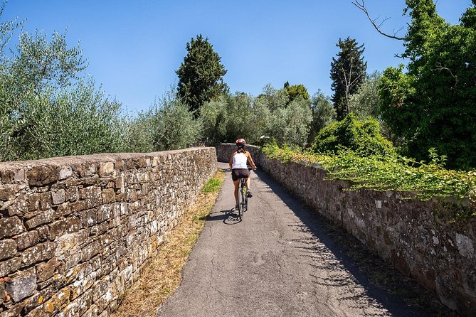 Tuscan Country Bike Tour With Wine and Olive Oil Tastings - Inclusions in the Tour