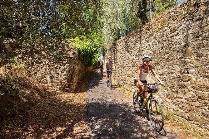 Tuscan Country Bike Tour With Wine and Olive Oil Tastings - Important Details to Know