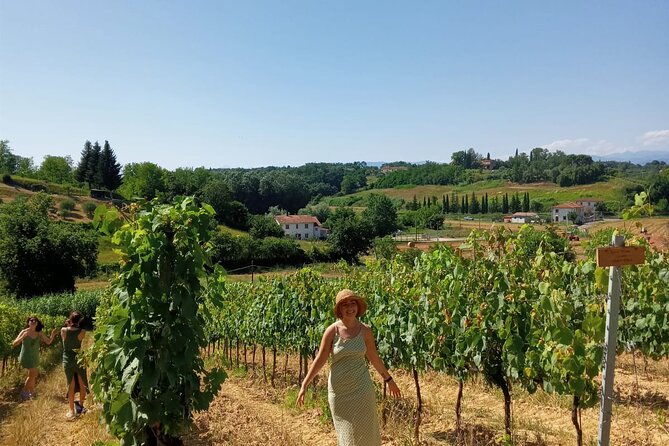 Tuscan Farm and Cellar Visit With Cooking Class and Lunch  - Florence - Experience Details and Inclusions