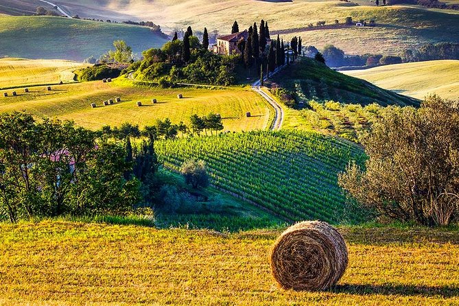 Tuscan Food and Wine Tour of Val D'orcia From Florence - Tastings and Free Time