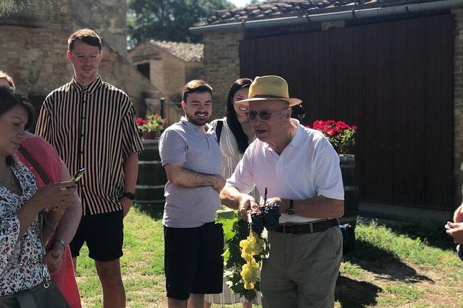 Tuscan Food and Wine Tour of Val D'orcia From Florence - Additional Information