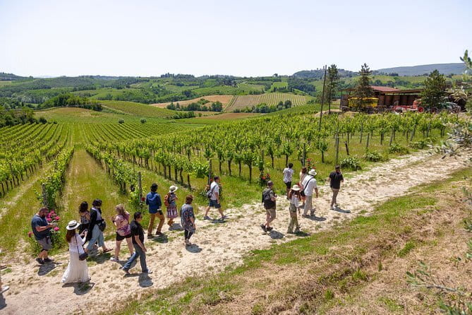 Tuscan Food Cooking Class in San Gimignano Winery From Florence - Experiencing the Wine Tasting and Pairing