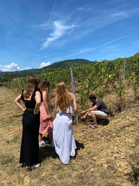 Tuscan Wine Tour by Shuttle From Pisa - Customer Feedback and Ratings