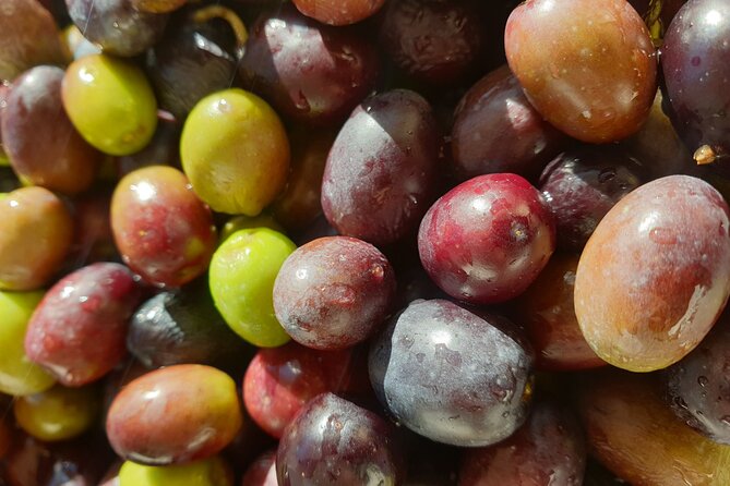 Tuscan World Famous Cuisine Activity With a Local Food Expert - Booking and Cancellation Information