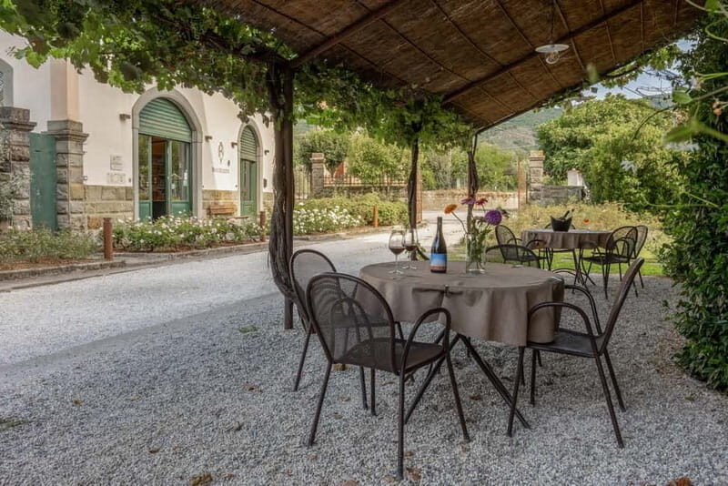 Tuscany: Aged Red Wine Tasting With Charcuterie Board - A Taste of Award-Winning Wines