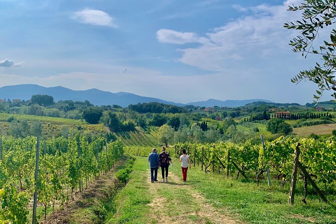 Tuscany and Wine Tasting Private Tour From Livorno - Tour Inclusions