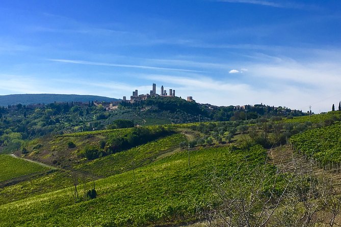 Tuscany and Wine Tasting Private Tour From Livorno - Additional Information