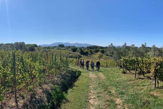 Tuscany and Wine Tasting Private Tour From Livorno - Tuscan Lunch and Wine Tasting