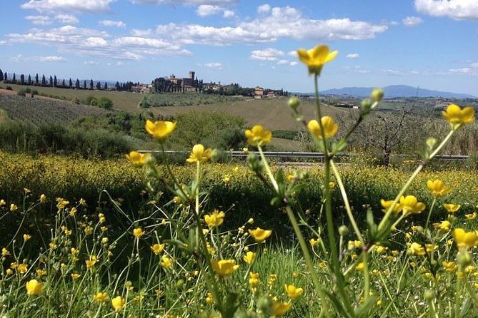 Tuscany Bike Tours Through the Chianti Hills With Wine Tasting - Meeting Point and Pickup