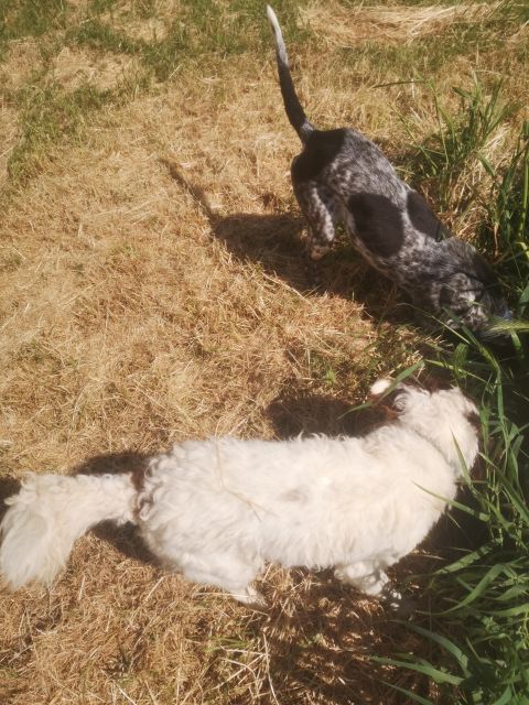 Tuscany Crete Senesi : Truffle Hunting Tour - Key Points