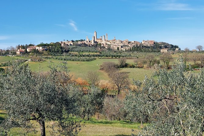 Tuscany Experience: Pisa, Siena, San Gimignano & Wine Tasting - Group Size