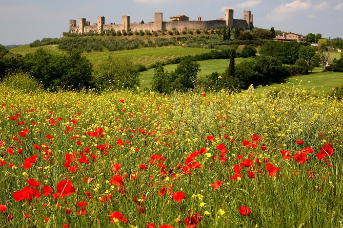 Tuscany Hiking Tour From Siena Including Wine Tasting - Tour Group Size and Accessibility