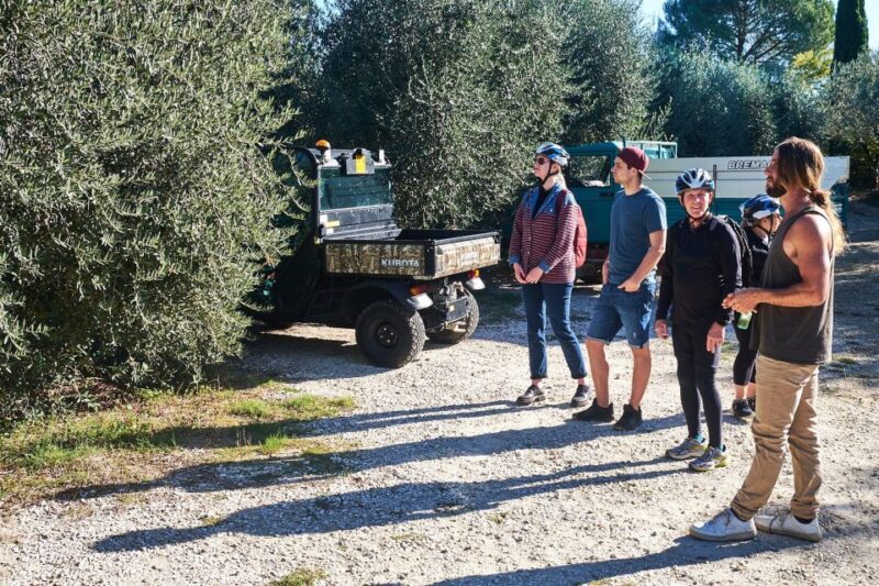 Tuscany Hills Bike Tour With Lunch at Farm and Wine Tasting - Customer Feedback and Ratings