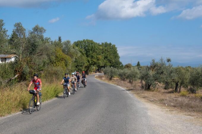 Tuscany Hills Bike Tour With Lunch at Farm and Wine Tasting - Exploring Chianti Countryside