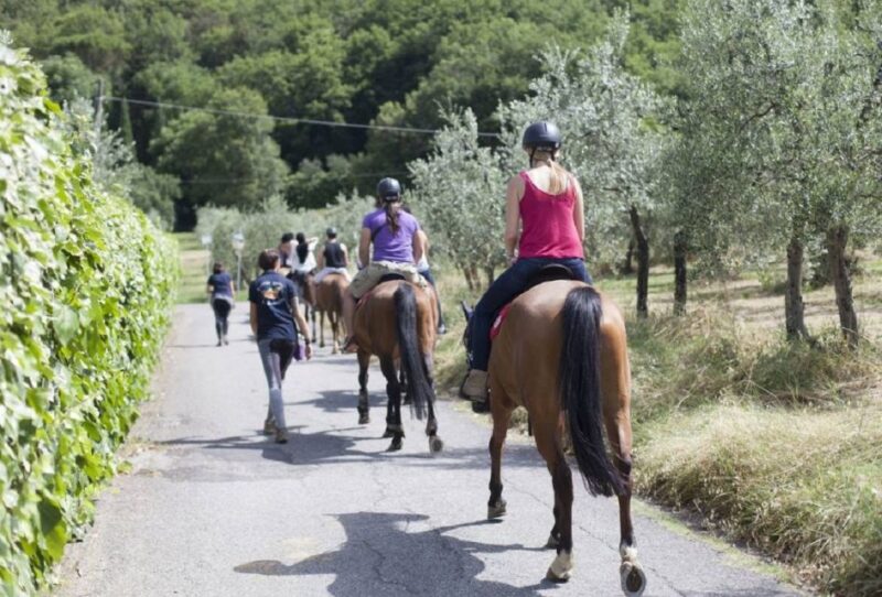 Tuscany: Horseback Riding Adventure With Lunch in a Winery - Itinerary Details