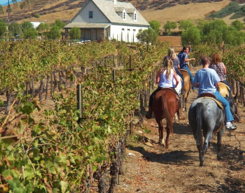 Tuscany: Horseback Riding Adventure With Lunch in a Winery - Inclusions