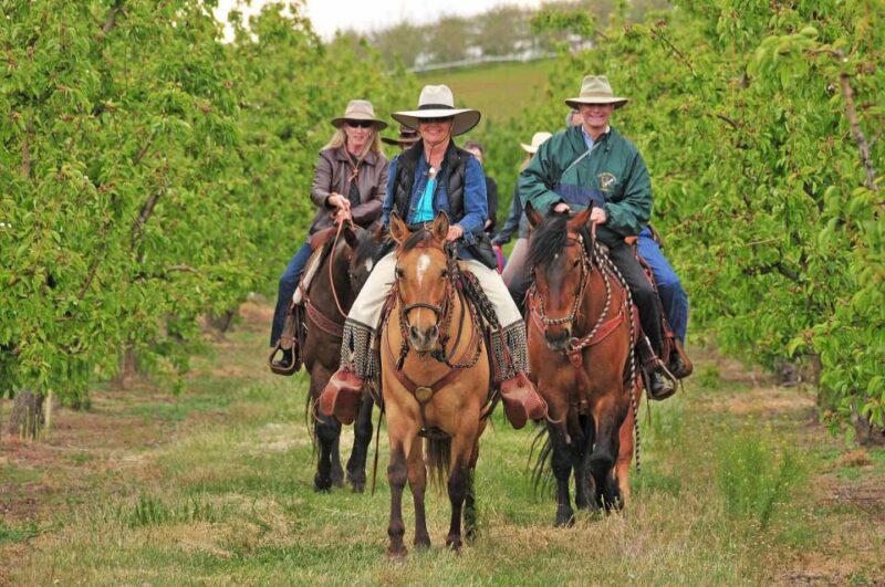 Tuscany: Horseback Riding Adventure With Lunch in a Winery - Exclusions