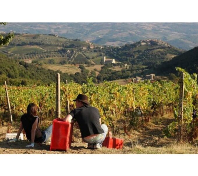 Tuscany: Montalcino Dinner at San Gimignano Winery - What to Bring and Restrictions