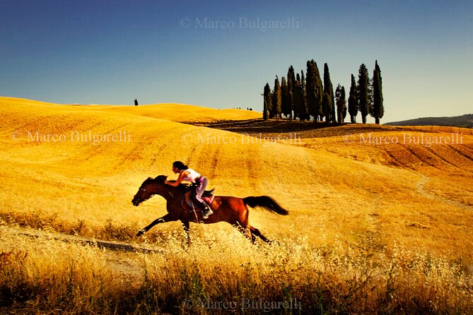 Tuscany Photo Tours - Exceptional Participant Reviews and Ratings