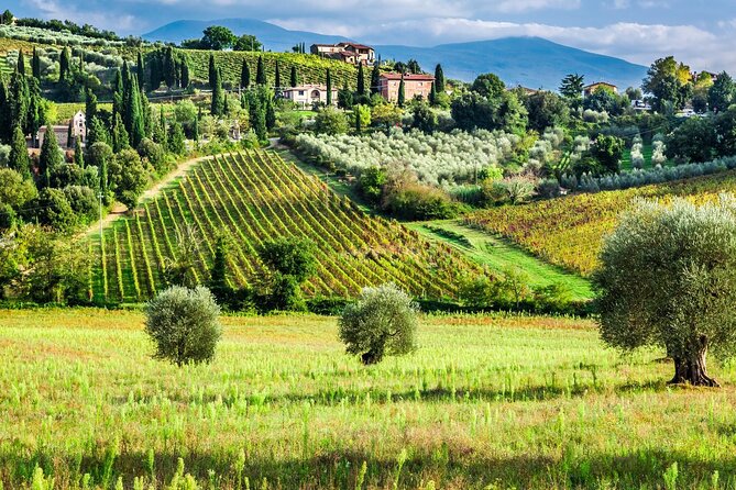Tuscany Private Tour With Wine and Cheese Tasting From Florence - Guided Tour Experience