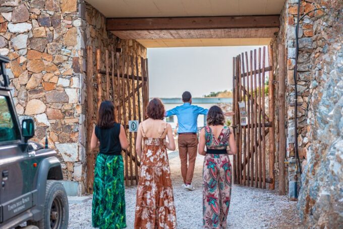 Tuscany: Ripalte Design Winery Wine and Cheese Tasting Tour - Winemaking and Grape Drying