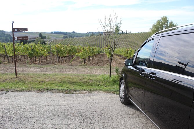 Tuscany Secret Winery Tastings and Lunch Group Tour From Lucca  - Pisa - Journey Through Pisas Architectural Marvels