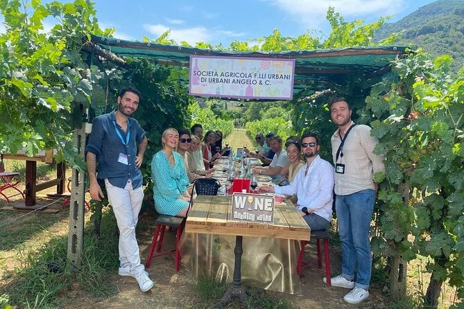 Tuscany Secret Winery Tastings and Lunch Group Tour From Lucca  - Pisa - Exclusive Cooking Class Experience