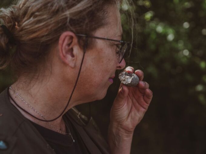 Tuscany: Volterra Truffle Hunting Experience - Cancellation and Language Options