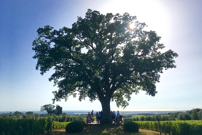 Tuscany Wine Tour in San Gimignano From Livorno Port - Booking Flexibility and Cancellation Policy