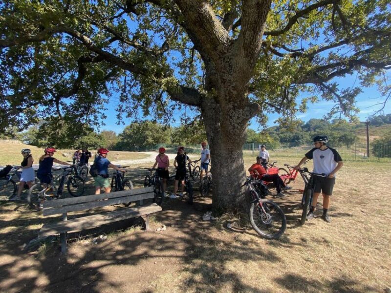 Tuscolo Experience in Ebike - Inclusions