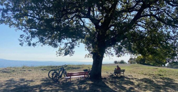 Tuscolo Experience in Ebike - Cancellation and Refund