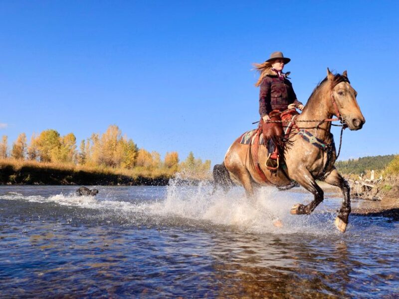Tuscon: Rancho De Los Cerros Horseback Riding Tour - What to Bring and Prohibitions