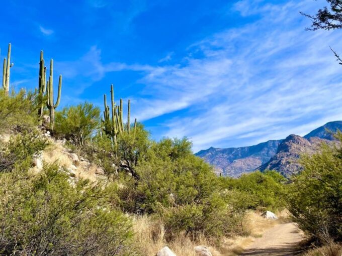 Tuscon: Rancho De Los Cerros Horseback Riding Tour - Customer Feedback and Ratings