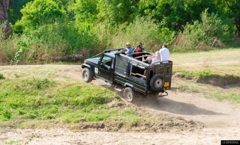 Tusker Safari at Kalawewa National Park - Tusker Elephants and Wildlife
