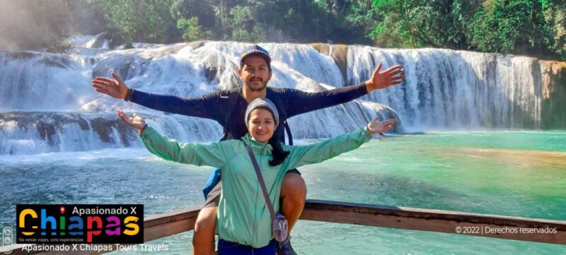 Tuxtla Gutierrez: Agua Azul, Misol Ha & Palenque Experience - Customer Feedback