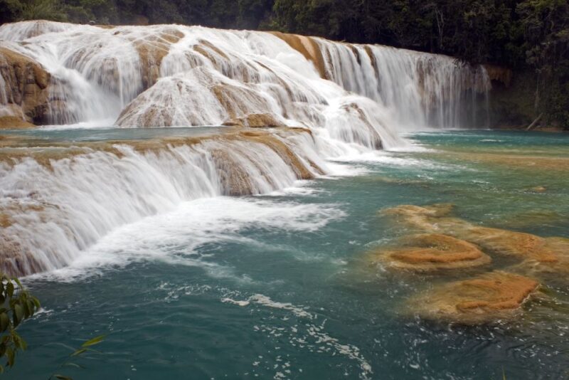 Tuxtla Gutierrez: Palenque Ruins Day Tour With Breakfast - Itinerary Highlights