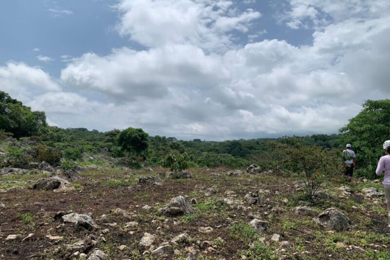 Tuxtla Gutierrez: Rappelling at Sima Del Cielo - Key Points