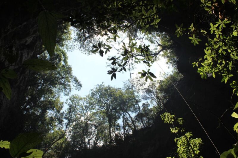 Tuxtla Gutierrez: Rappelling at Sima Del Cielo - Experience Highlights