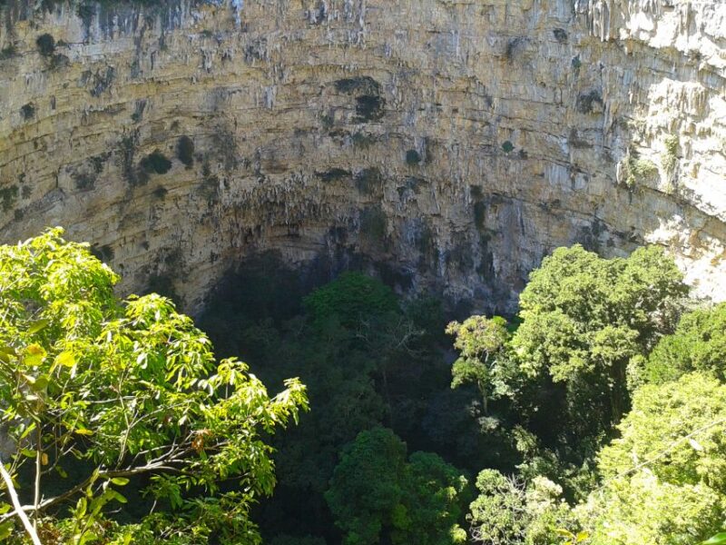 Tuxtla Gutiérrez: Sinkhole of Parrots Full-Day Rappel - Key Points