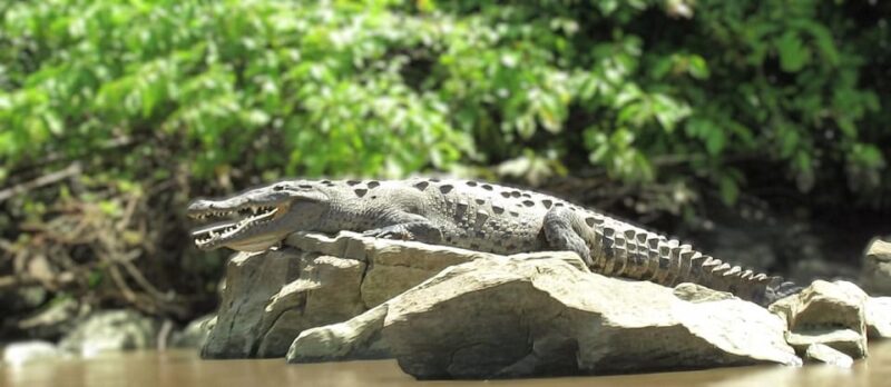 Tuxtla Gutierrez: Sumidero Canyon River and Chiapa De Corzo - Tour Inclusions