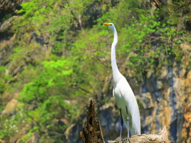 Tuxtla: Sumidero Canyon, San Juan Chamula & Zinacantán Tour - Inclusions and Amenities
