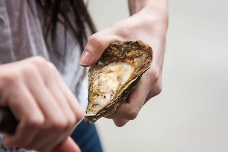 Tweed/Gold Coast: Crab Catching Experience Cruise - Key Points
