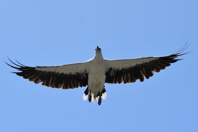 Tweed River and Rainforest Lunch Cruise - Inclusions and Accessibility