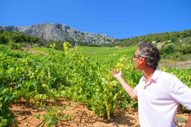 Twice the Wine - Two Wineries Half Day Tour, With Delicacies - Exploring Winery Cellars