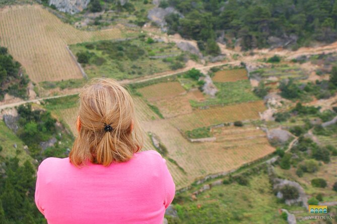 Twice the Wine - Two Wineries Half Day Tour, With Delicacies - Exceptional Reviews and Ratings