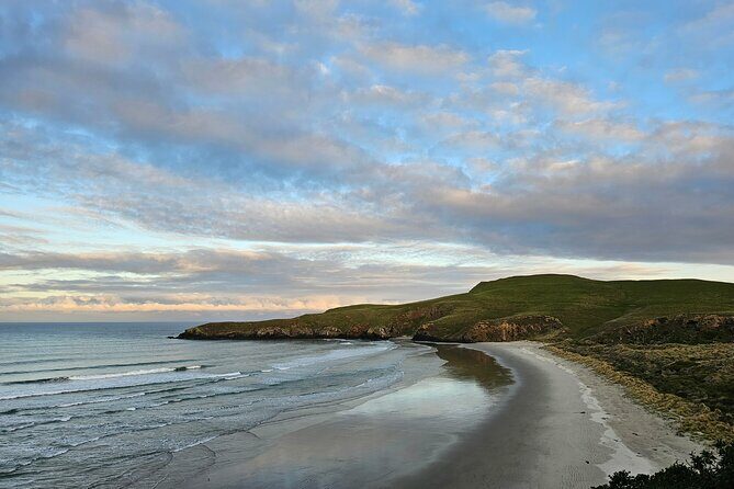 Twilight at the Opera - An Authentic Sunset Wildlife Experience