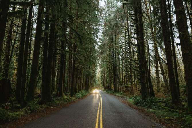 Twilight Forks Washington Tour - Traveler Reviews and Feedback